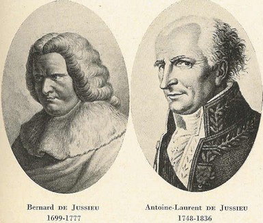 Bernard et Antoine Laurent de Jussieu