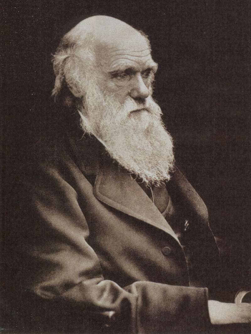 darwin.jpg